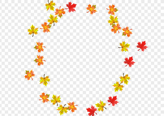 Autumnal Plant Background Transparent Vector. Leaf Isolated Texture. Brown Down Leaves. Decoration Floral Frame.