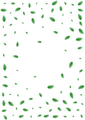 Green Sheet Background White Vector. Plant Flying Design. Elegant Frame. Light Green Space Illustration. Leaves Branch.