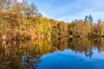 Swan Lake view in Muhlenbecker Land of Berlin 