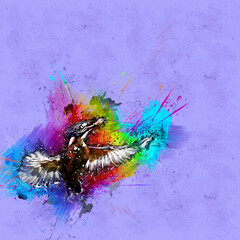Kingfisher 78