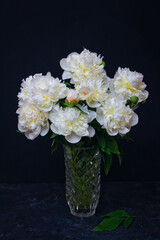 Naklejka na ściany i meble Beautiful white peony flowers bouquet with water drops on petals in glass vase with dark background
