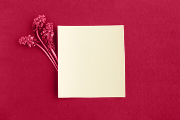 Paper background Color 2023 Viva Magenta. Viva magenta color of the year 2023 demo. Beautiful...