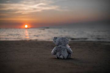 lonely teddy bear sitting alone on the beach at the evening sunset for created postcard  of international missing children, broken heart, lonely, sad, alone unwanted cute doll lost. - 551077307