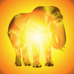 elephant line art design vector 