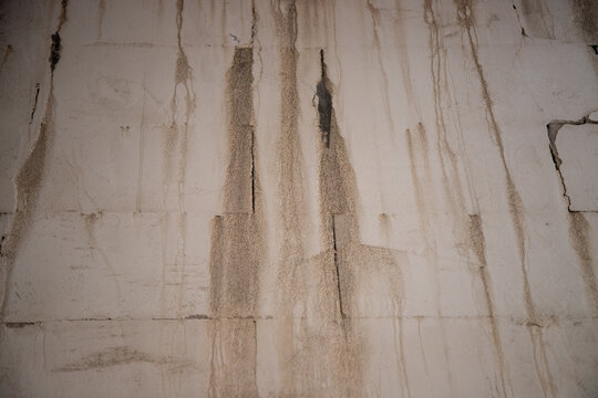 Damp buildings damaged by black mold and fungus, dampness or water. infiltration, insulation and mold problems in the wall of the house	