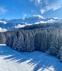 Vue de drone mont Blanc &bec piste de ski et sapin enneigé 