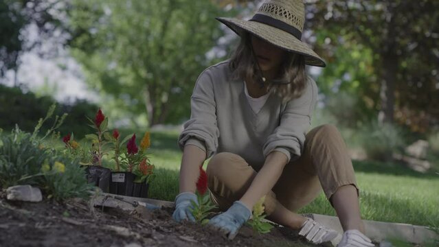 Woman planting flowers in garden soil / Cedar Hills, Utah, United States