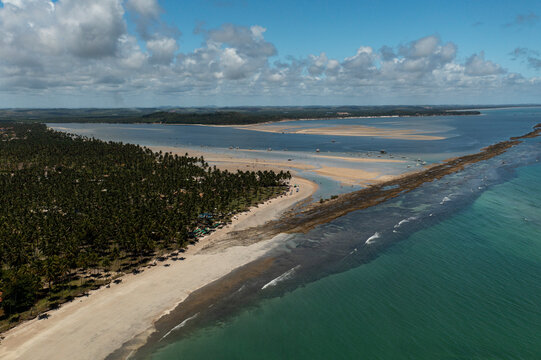 coconut trees, beach sand and blue sea on a sunny day at Praia dos Carneiros