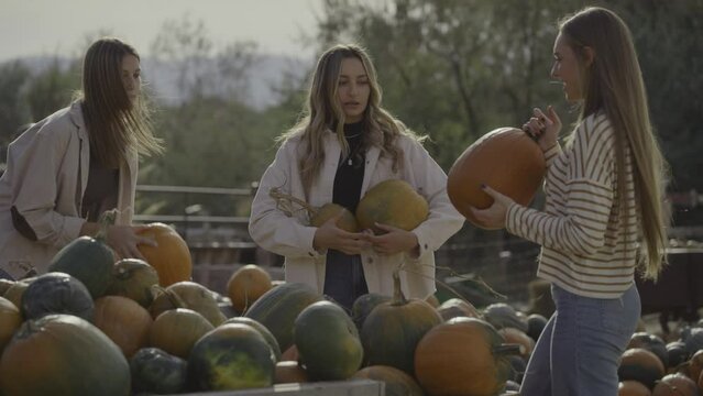 Insensitive teenage girls piling pumpkins into arms of friend / Pleasant Grove, Utah, United States