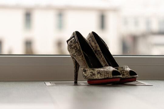 Snakeprint Red high heel pumps in front of a window and on a light floor