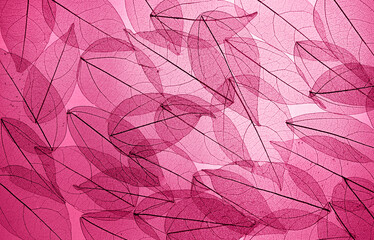Foliage background in Viva Magenta. Red leaf top view. Leaves. Color of the year 2023