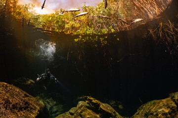 cave diver instructor leading a group of divers in a mexican cenote underwater