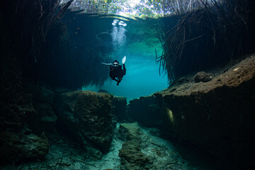 cave diver instructor leading a group of divers in a mexican cenote underwater