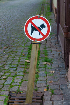 Schild "Hunde verboten" von einem Privatmann aufgestellt