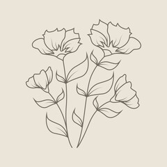 Floral Hand Drawn Design Elements