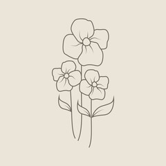 Floral Hand Drawn Design Elements