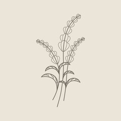 Floral Hand Drawn Design Elements