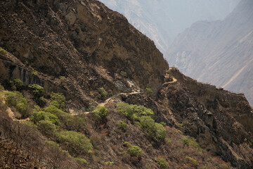 Hike through the Apurímac canyon to the ruins of Choquequirao, an Inca archaeological site in Peru, similar in structure and architecture to Machu Picchu.
