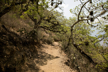 Hike through the Apurímac canyon to the ruins of Choquequirao, an Inca archaeological site in Peru, similar in structure and architecture to Machu Picchu.