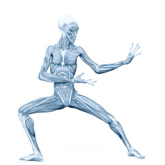 alien muscle maps on white background