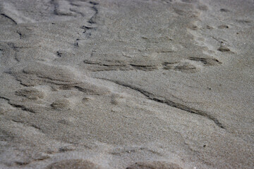 Wet abstract sand pattern for background