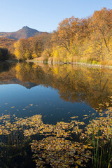 Gold autumn. Beautiful reflection in the water of a forest lake in the mountains