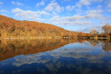 Gold autumn. Beautiful mirror reflection in the water of a forest lake trees and clouds