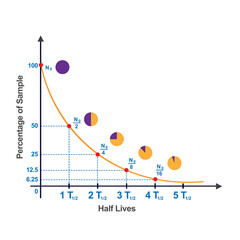 half life curve in nuclear chemistry Vevtor illustration