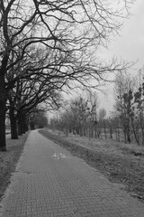 Black and white photo. View of the empty pedestrian path for walking.