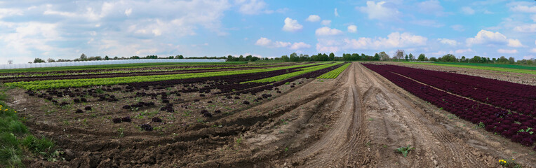 Kraut und R&uuml;ben auf den Fildern Panorama bei Stuttgart 