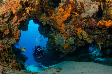 woman scuba diving on Cozumel coral reef in Mexico