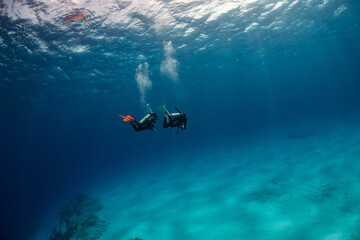 Obraz na płótnie Canvas woman scuba diving on Cozumel coral reef in Mexico