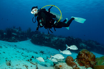 woman scuba diving on Cozumel coral reef in Mexico