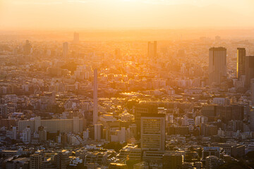 夕焼けに染まる東京都の都市風景