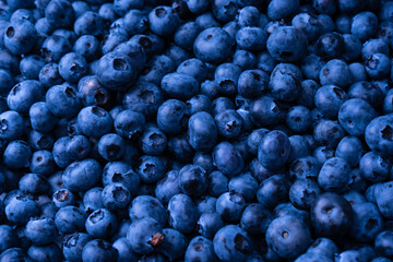 Fresh blueberry background. Texture blueberry berries close up.