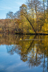 Swan Lake view in Muhlenbecker Land of Berlin 