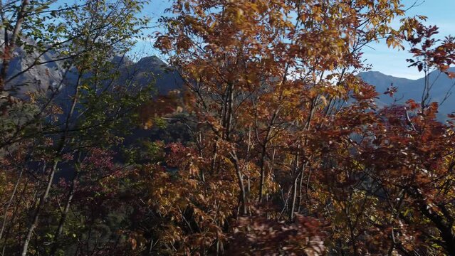 Vista aerea sulle Alpi Apuane, in Toscana. I monti Corchia e Pania della Croce, con i paesi di Terrinca e Levigliani