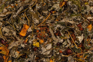 Dry tea leaves as a background.