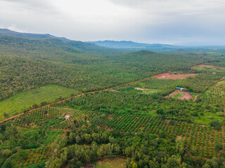 Fototapeta na wymiar Aerial Top View In Cambodia