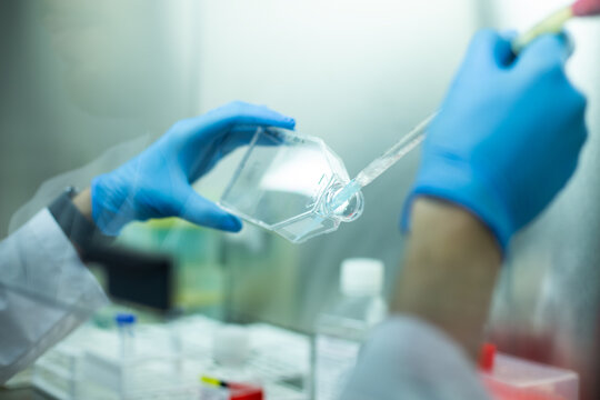 medicine, medical and biology laboratory