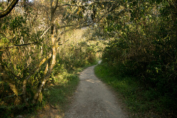 Obraz premium Hiking from Santa Teresa Hidroeléctrica to Aguas Calientes to reach Machupichu. Path following the train tracks with several hikers.
