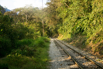 Obraz premium Hiking from Santa Teresa Hidroeléctrica to Aguas Calientes to reach Machupichu. Path following the train tracks with several hikers.