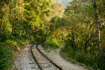 Obraz premium Hiking from Santa Teresa Hidroeléctrica to Aguas Calientes to reach Machupichu. Path following the train tracks with several hikers.
