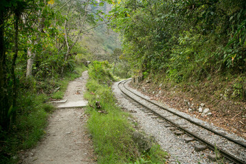 Obraz premium Hiking from Santa Teresa Hidroeléctrica to Aguas Calientes to reach Machupichu. Path following the train tracks with several hikers.
