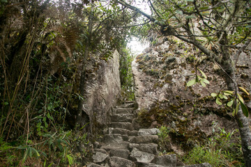 Hiking from Santa Teresa Hidroeléctrica to Aguas Calientes to reach Machupichu. Path following the train tracks with several hikers.