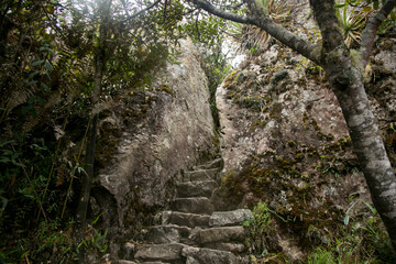 Hiking from Santa Teresa Hidroeléctrica to Aguas Calientes to reach Machupichu. Path following the train tracks with several hikers.