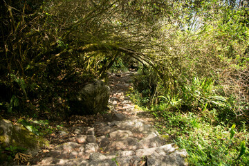 Fototapeta premium Hiking from Santa Teresa Hidroeléctrica to Aguas Calientes to reach Machupichu. Path following the train tracks with several hikers.