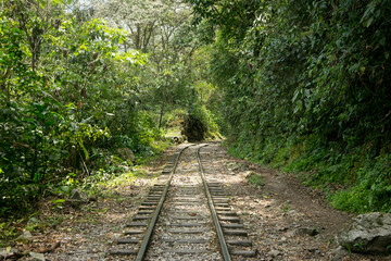 Obraz premium Hiking from Santa Teresa Hidroeléctrica to Aguas Calientes to reach Machupichu. Path following the train tracks with several hikers.