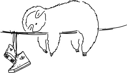 Sleeping sloth doodle illustration. Cute animal and sneakers art
