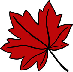 simplicity maple freehand drawing